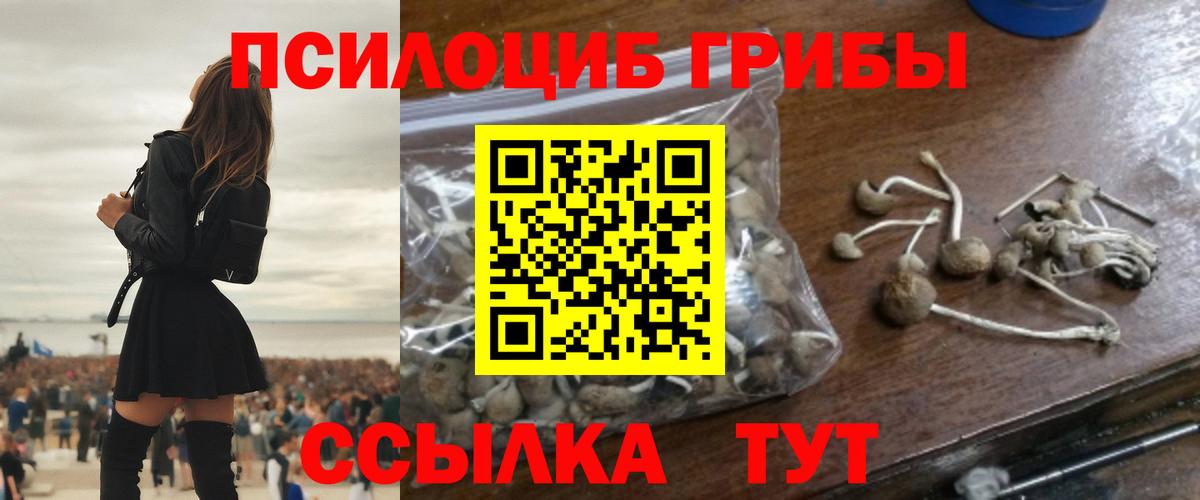 Галлюциногенные грибы прущие грибы Ижевск