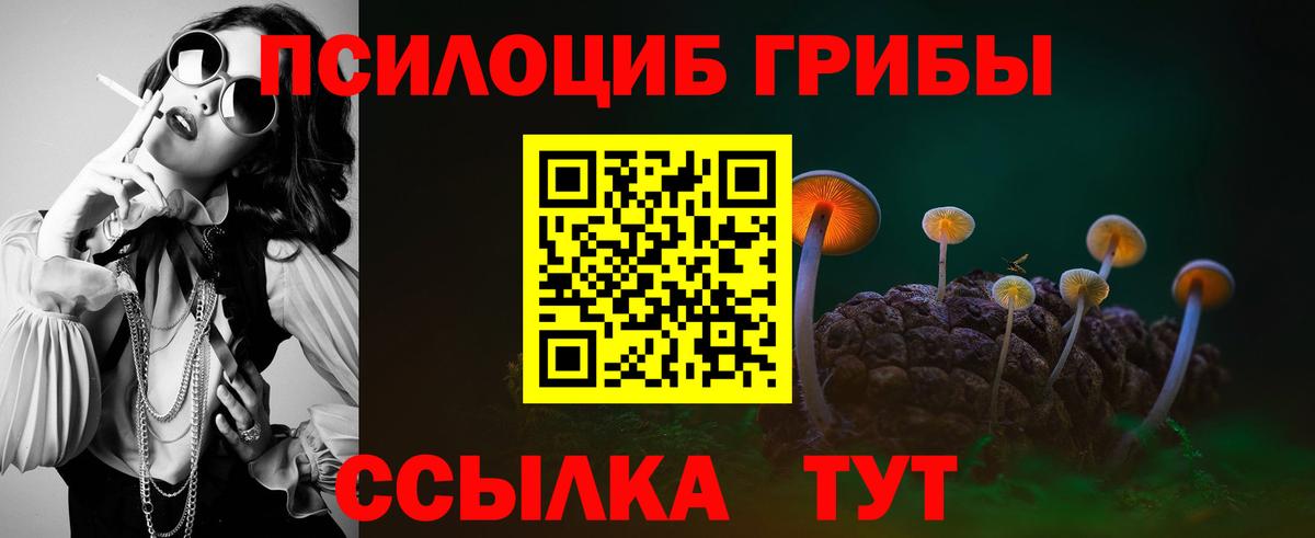 Псилоцибиновые грибы мицелий  Псилоцибиновые грибы GOLDEN TEACHER  Ижевск  Вход с VPN 